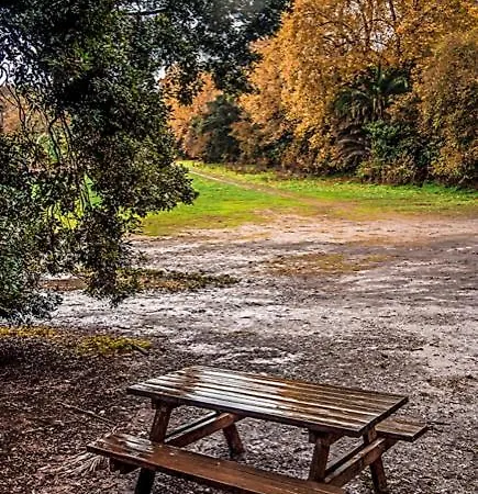 Centro 1 Apartamento