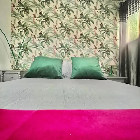 Apartment Centro 1